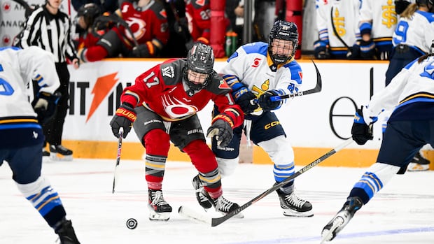 ottawa-charge-earns-final-pwhl-playoff-spot-with-3-0-victory-over-toronto-sceptres