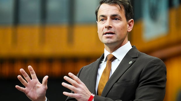 federal-government-gives-$6.22-million-over-next-2-years-to-athletes’-mental-health